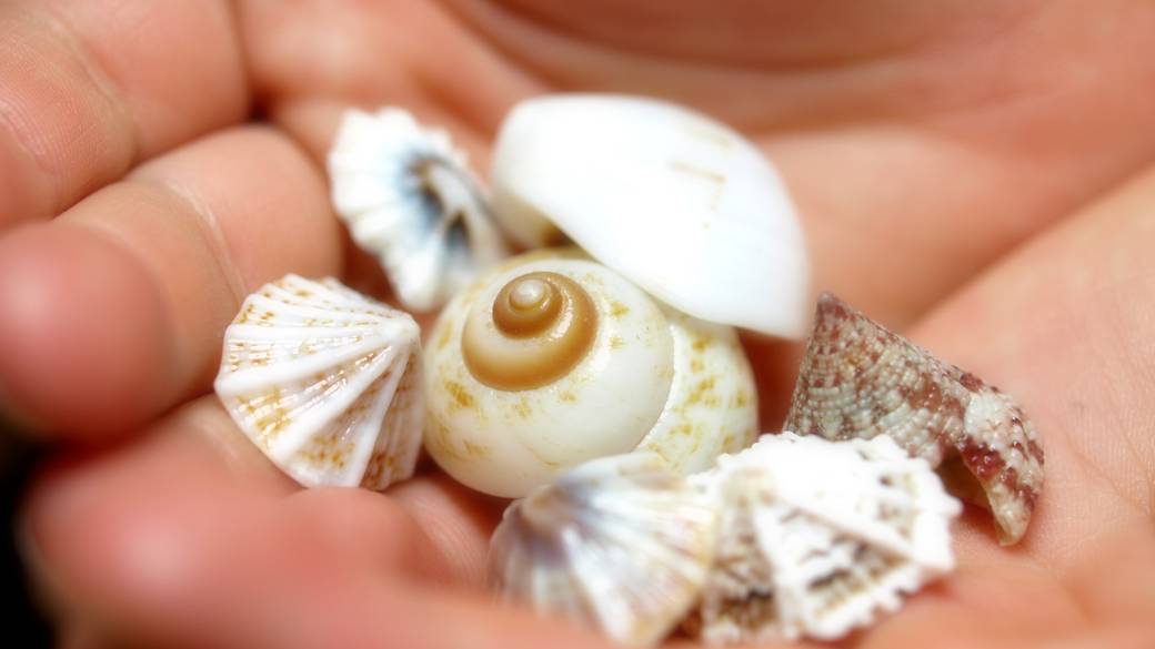 ニライビーチの
朝の透明感に驚く / 3