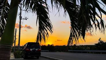 施設の敷地 / 20