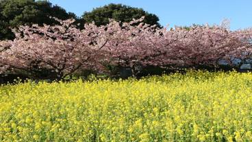 ランド ビュー / 38