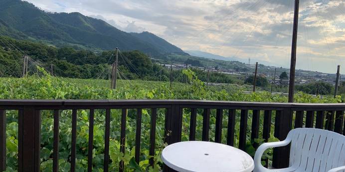 ワイン民宿鈴木園（山梨県 民宿） / 1