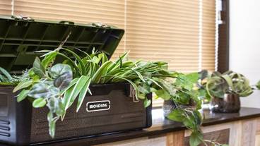 リビング エリア / 28