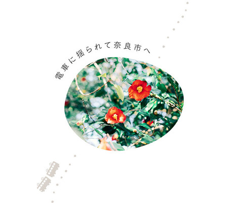 自分の時間を大切に。時を越えた奈良の美しさに浸るひとり旅 - 17