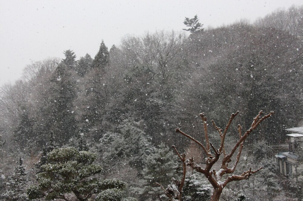 施設からの眺望