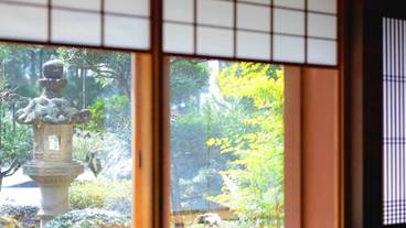 ガーデン ビュー / 14