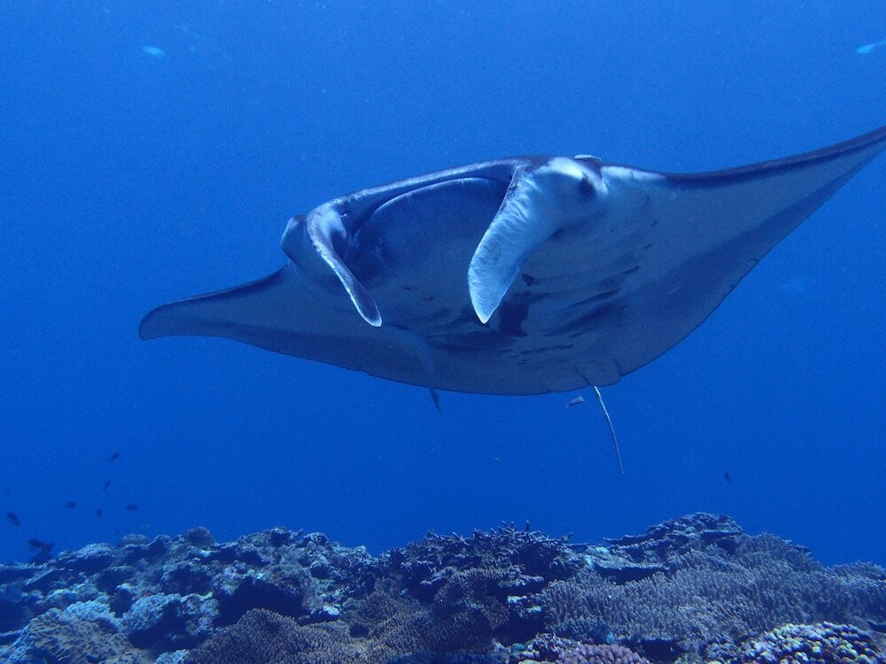 施設からの眺望