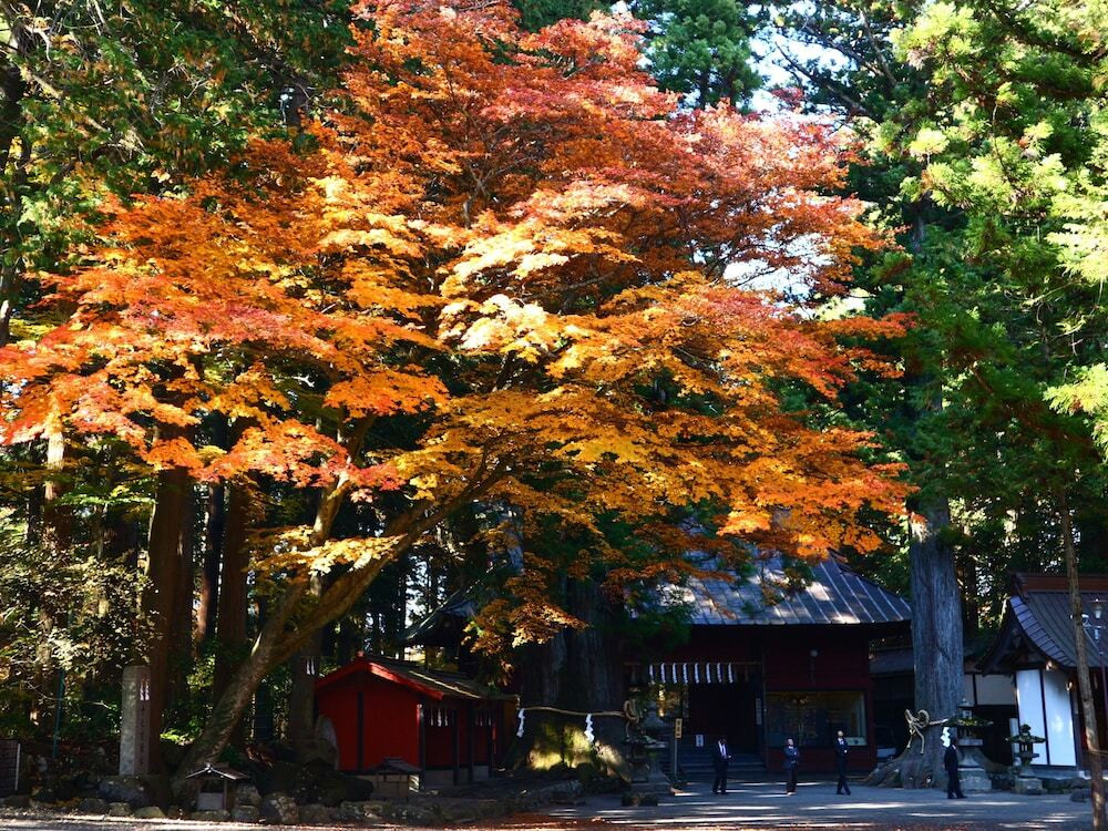 施設からの眺望