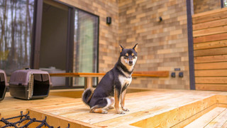 Rakuten STAY VILLA 富士河口湖の森/2LDKメゾネット [サウナ・テラス有] 禁煙【ペット可】