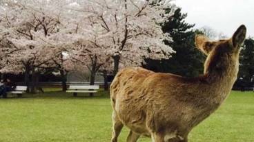 ランド ビュー / 26