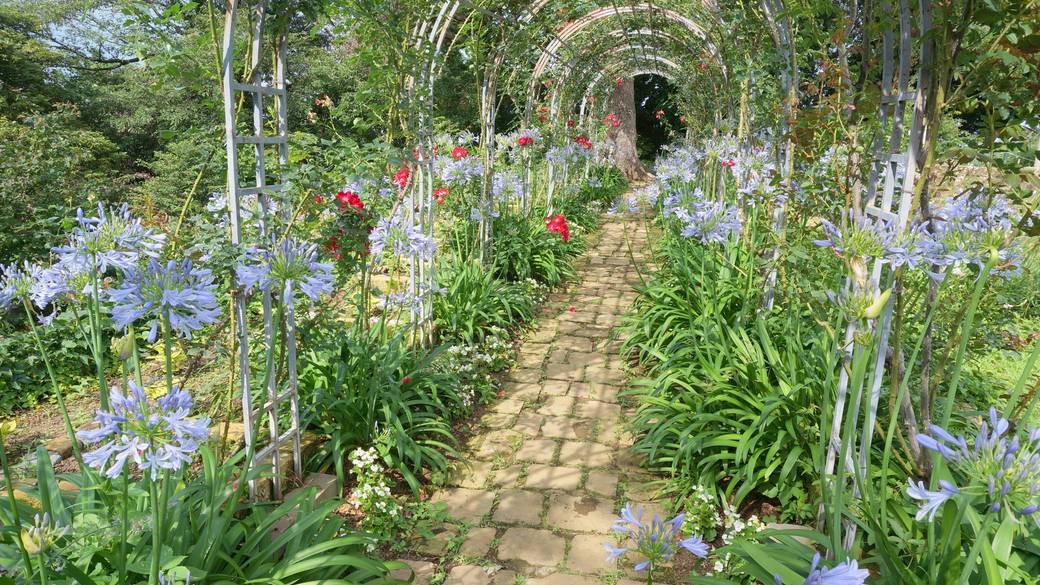 花々や海の絶景を見て
リフレッシュ / 1