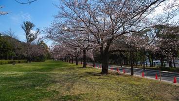施設からの眺望 / 14