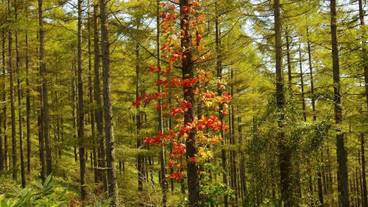 ハイキング / 10