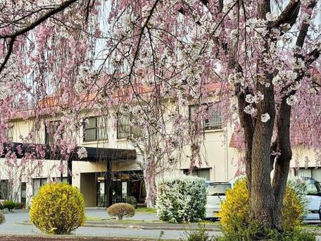 布引温泉こもろ / 5