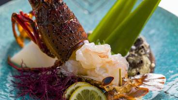 食事・飲み物 / 20