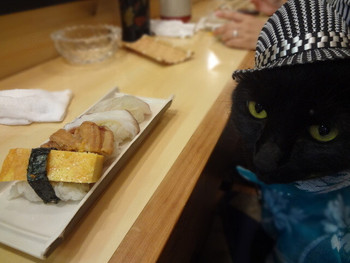 「なにわ寿司」料理 841583