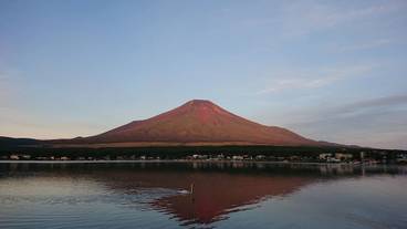 ランド ビュー / 8