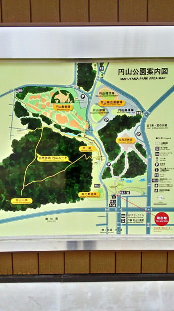円山公園について知ろう！7723