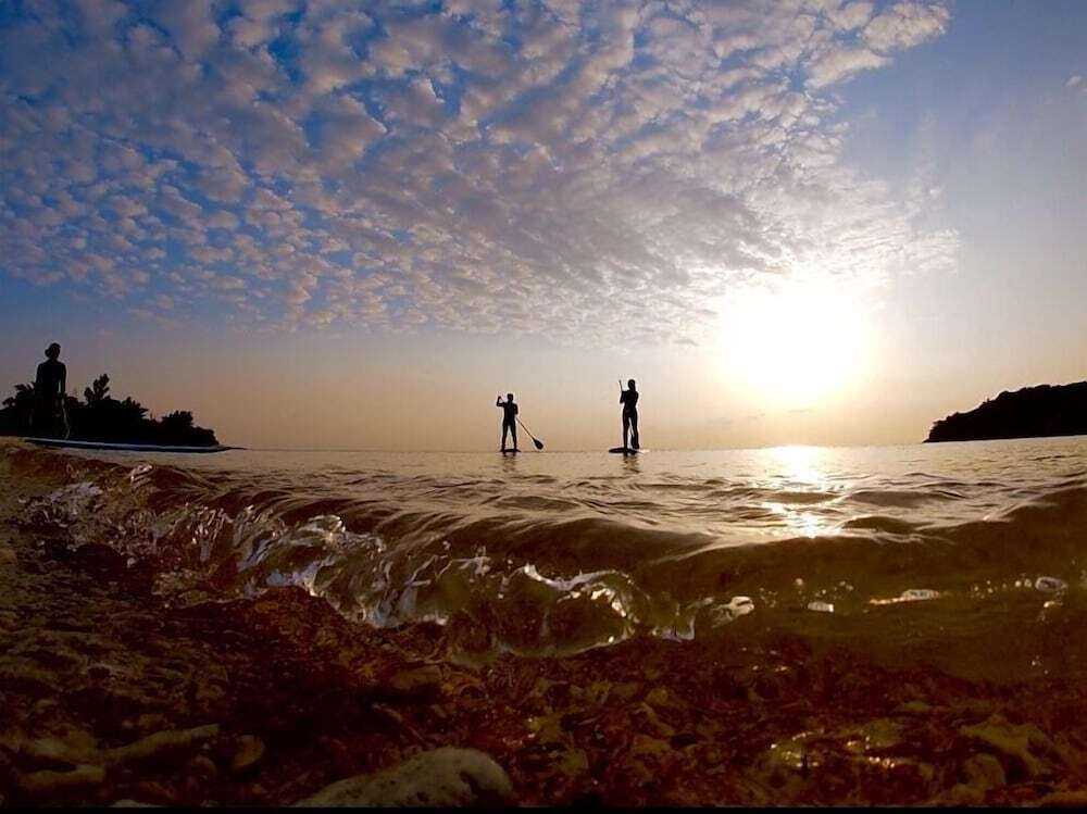 サーフィン / ボディボード