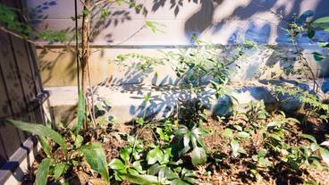 施設からの眺望 / 8