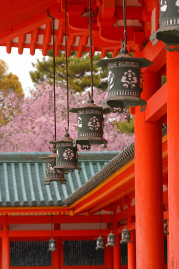 「平安神宮」でしっとり桜を楽しもう1554370