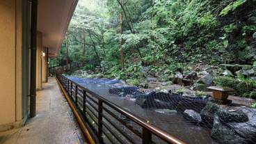 ロビー前の池 / 1