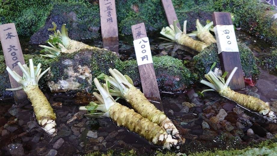 ランチは伊豆名物を
わさび園 かどや / 3