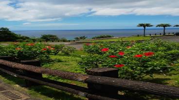 観光スポット / 7