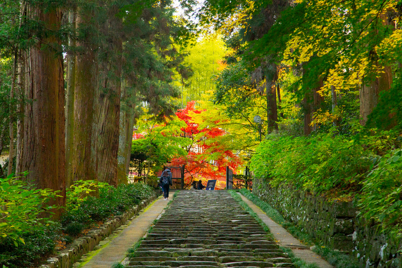 瑞鳳殿　紅葉の風景