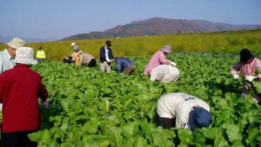 施設からの眺望 / 20