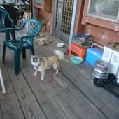 ペンション・喫茶　南の楽園（沖縄県 民宿） / 3