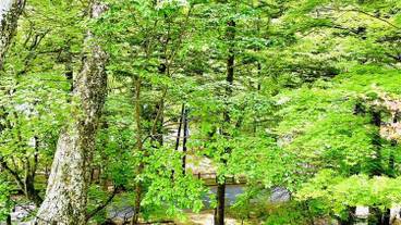 施設の入り口 / 10