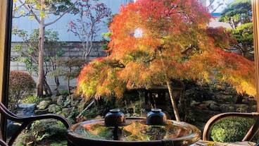 ガーデン ビュー / 6