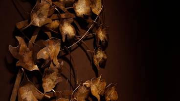 館内装飾② / 16