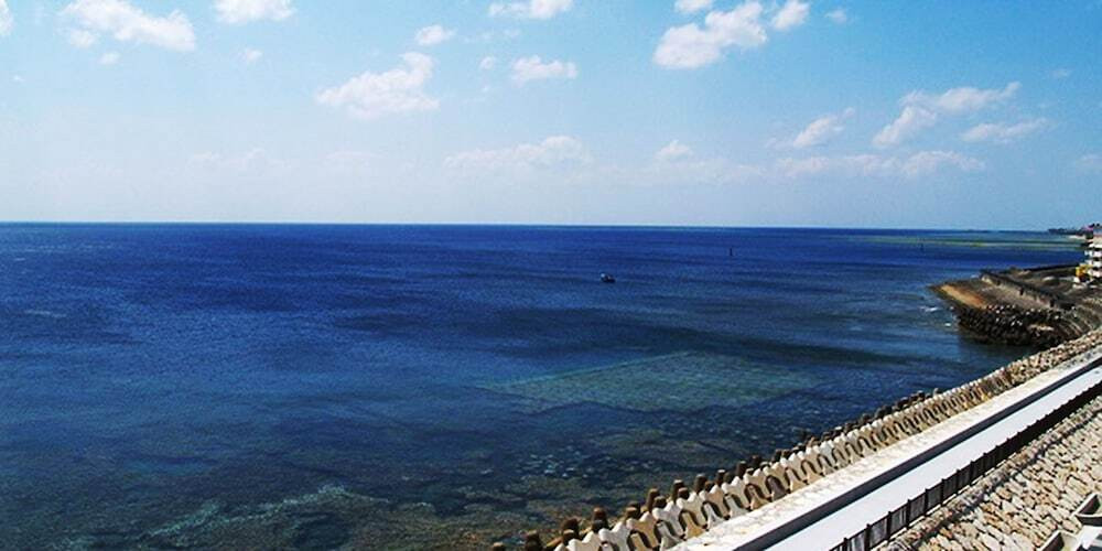 ビーチ / オーシャン ビュー