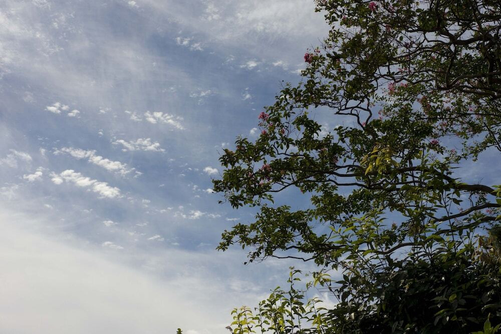 マウンテン ビュー