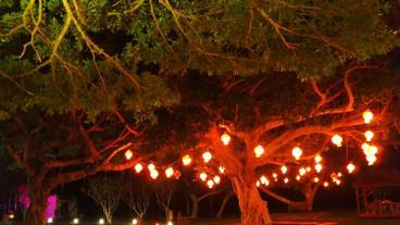 施設からの眺望 / 34