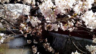 施設の敷地 / 17