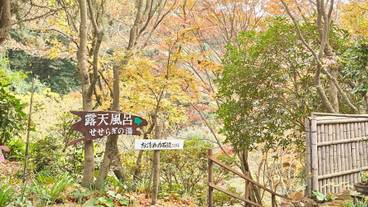 温泉 / 20