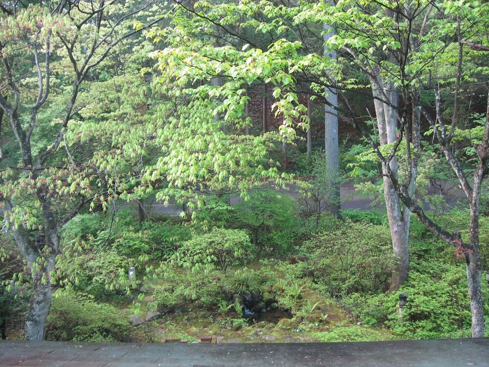 部屋からの景観