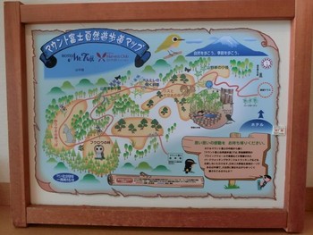 自然遊歩道で豊かな自然を体感3751054