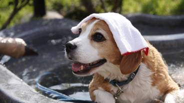 施設の敷地 / 23