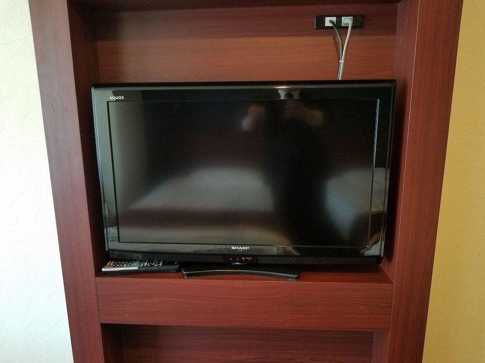 テレビ