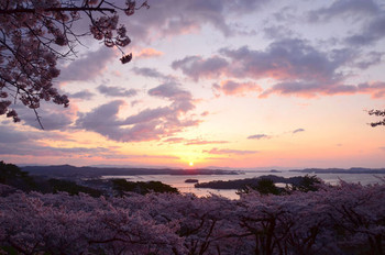 言葉を失う美しさ！松島の絶景に癒されよう3907855