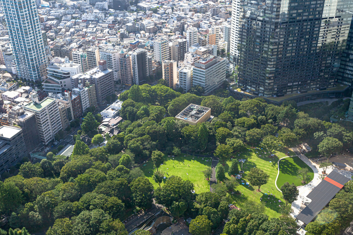 東京都庁からの眺め(1)