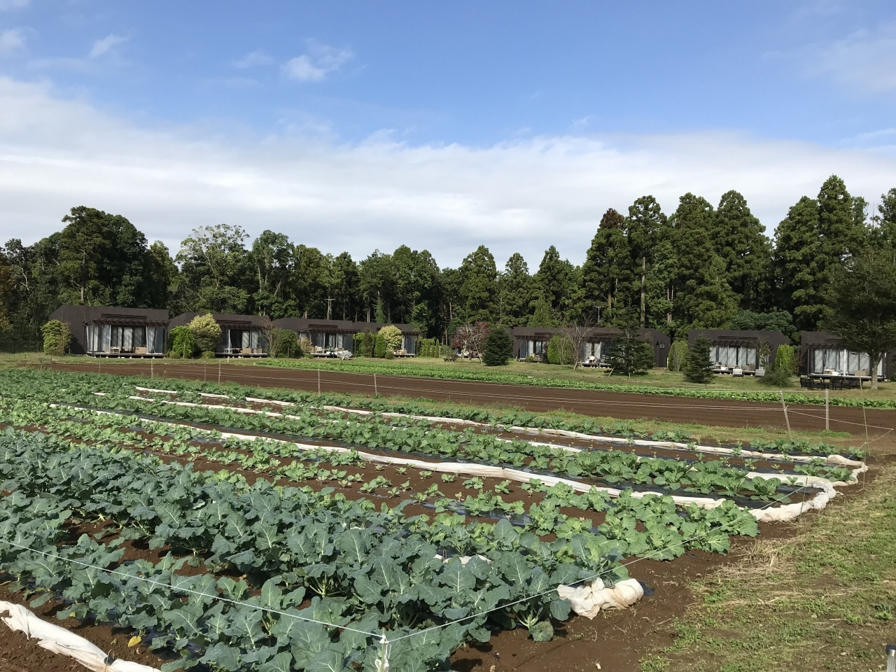 農業体験で自然と触れ合い、天然温泉で癒されよう3407379