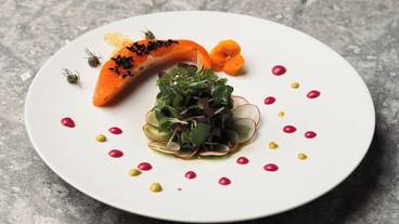 食事・飲み物 / 24