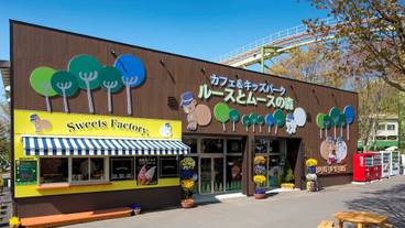 子供用の遊び場 - 屋内 / 23