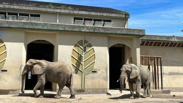 熊本市動植物園 / 8