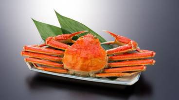 食事・飲み物 / 4