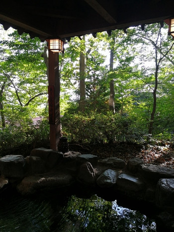 「いかほ秀水園」 その他 74805780 