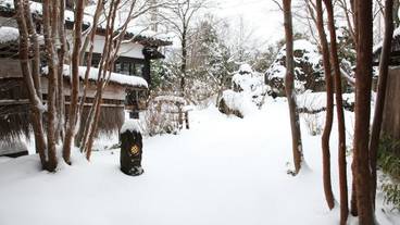 施設の敷地 / 24